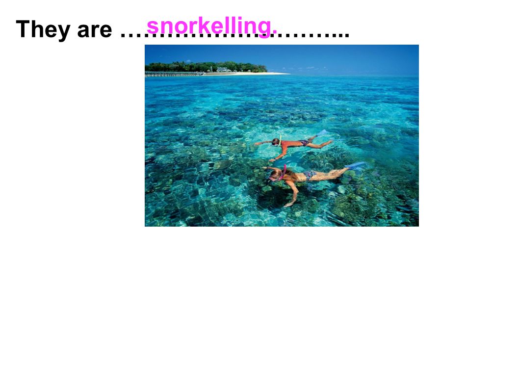 snorkelling. They are ………………………...