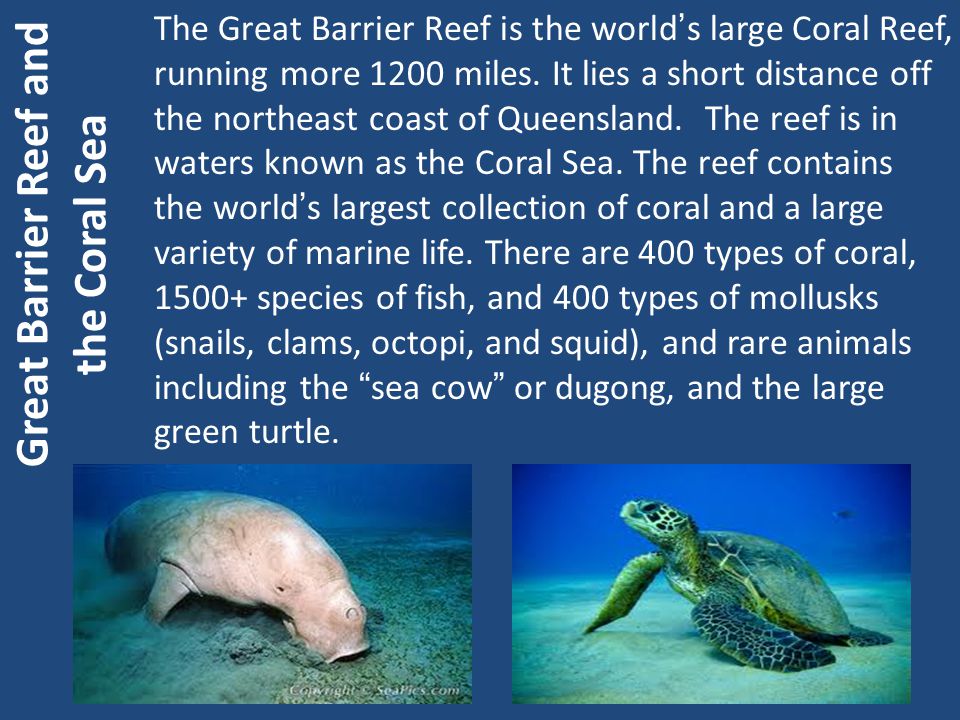 Great Barrier Reef and the Coral Sea