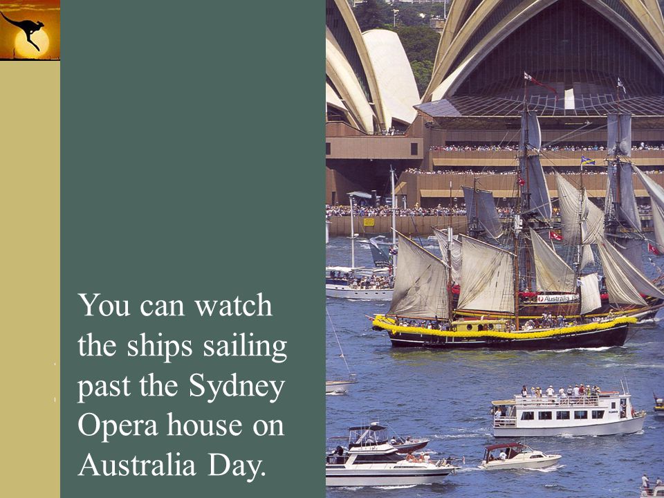 You can watch the ships sailing past the Sydney Opera house on Australia Day.