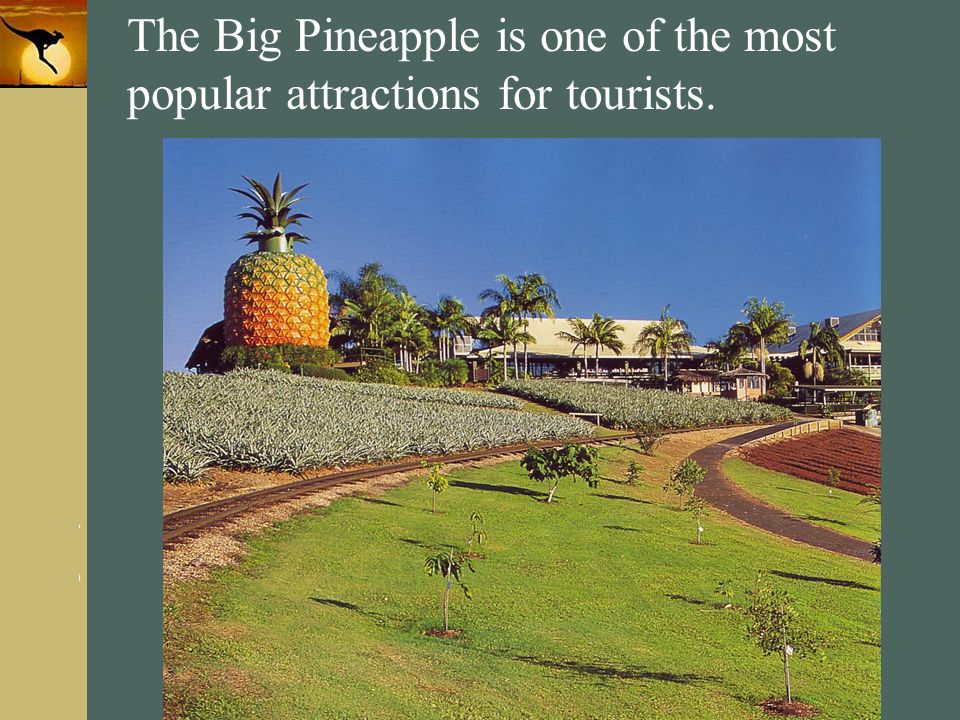 The Big Pineapple is one of the most popular attractions for tourists.