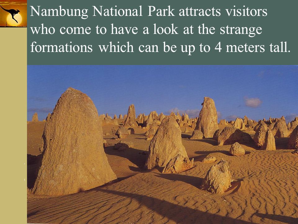 Nambung National Park attracts visitors who come to have a look at the strange formations which can be up to 4 meters tall.