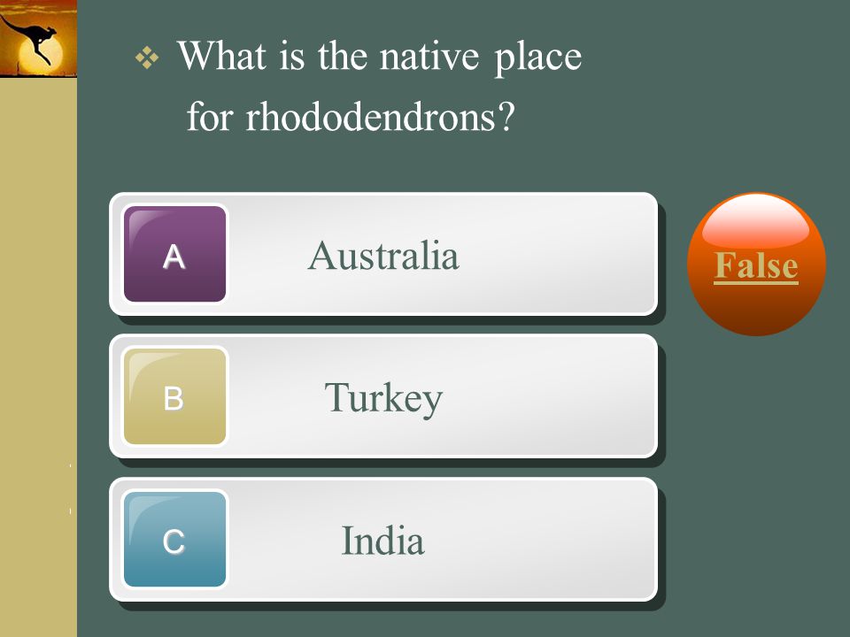 for rhododendrons Australia Turkey India False