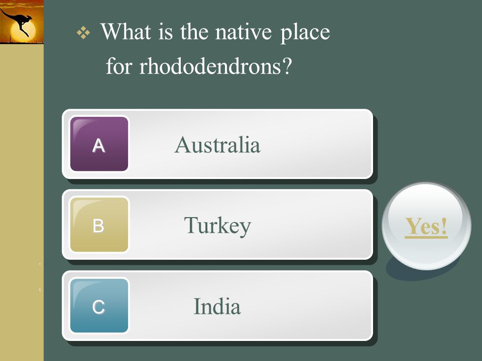 for rhododendrons Australia Turkey Yes! India