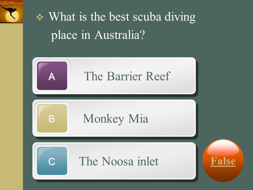 place in Australia The Barrier Reef Monkey Mia The Noosa inlet False