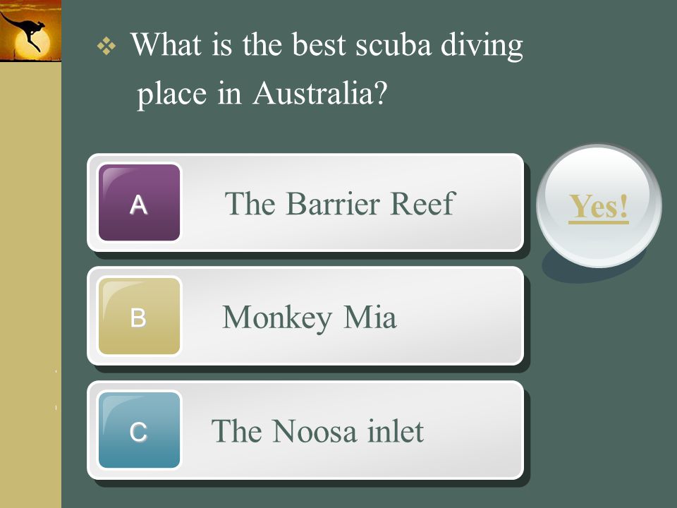 place in Australia The Barrier Reef Yes! Monkey Mia The Noosa inlet