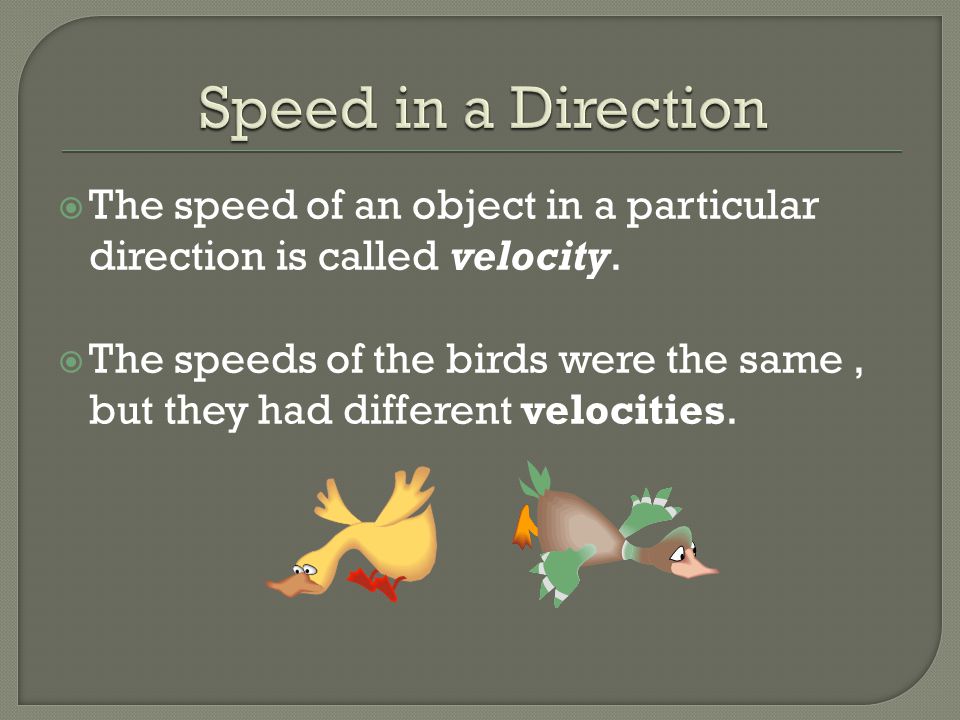 Speed in a Direction The speed of an object in a particular direction is called velocity.