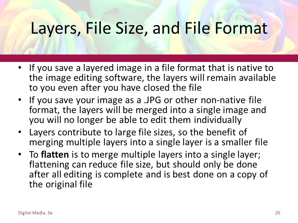 Layers, File Size, and File Format