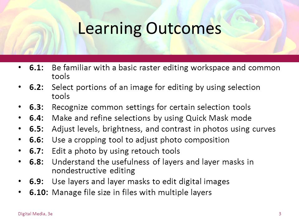 Learning Outcomes 6.1: Be familiar with a basic raster editing workspace and common tools.