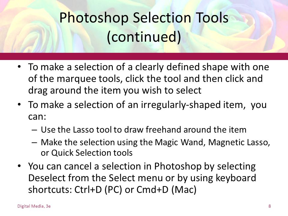 Photoshop Selection Tools (continued)