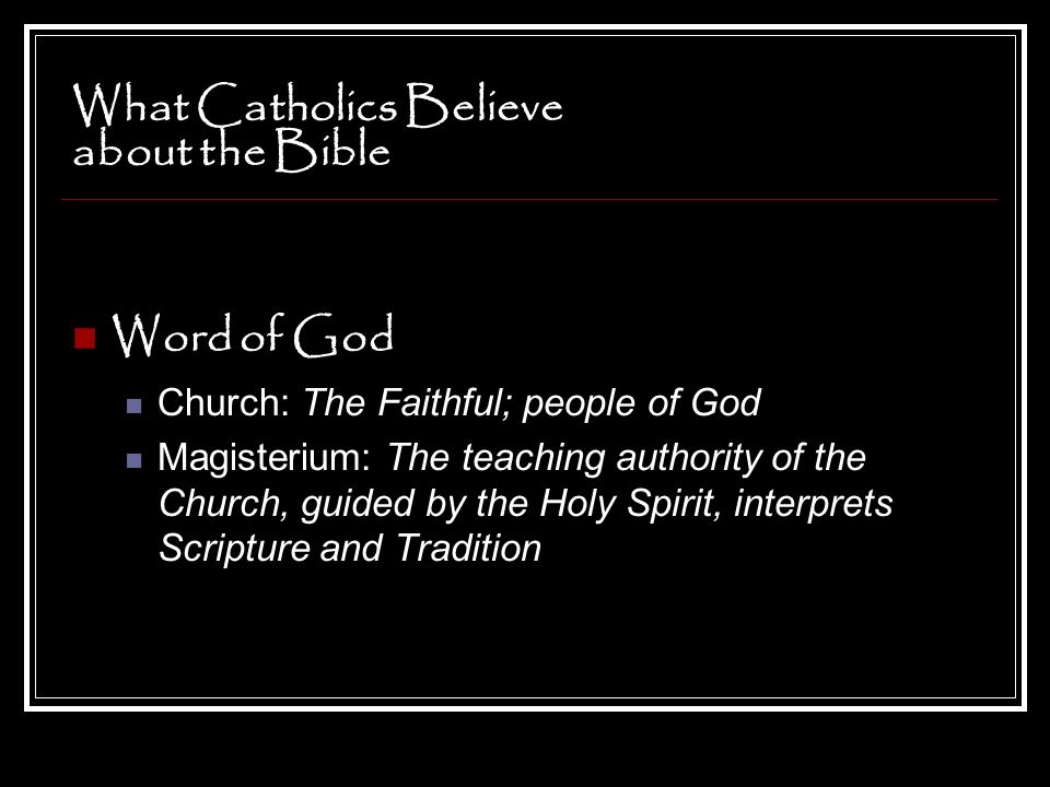What Catholics Believe about the Bible