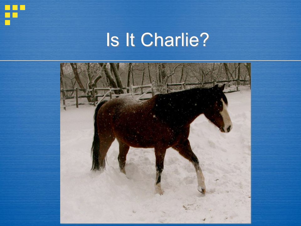 Is It Charlie