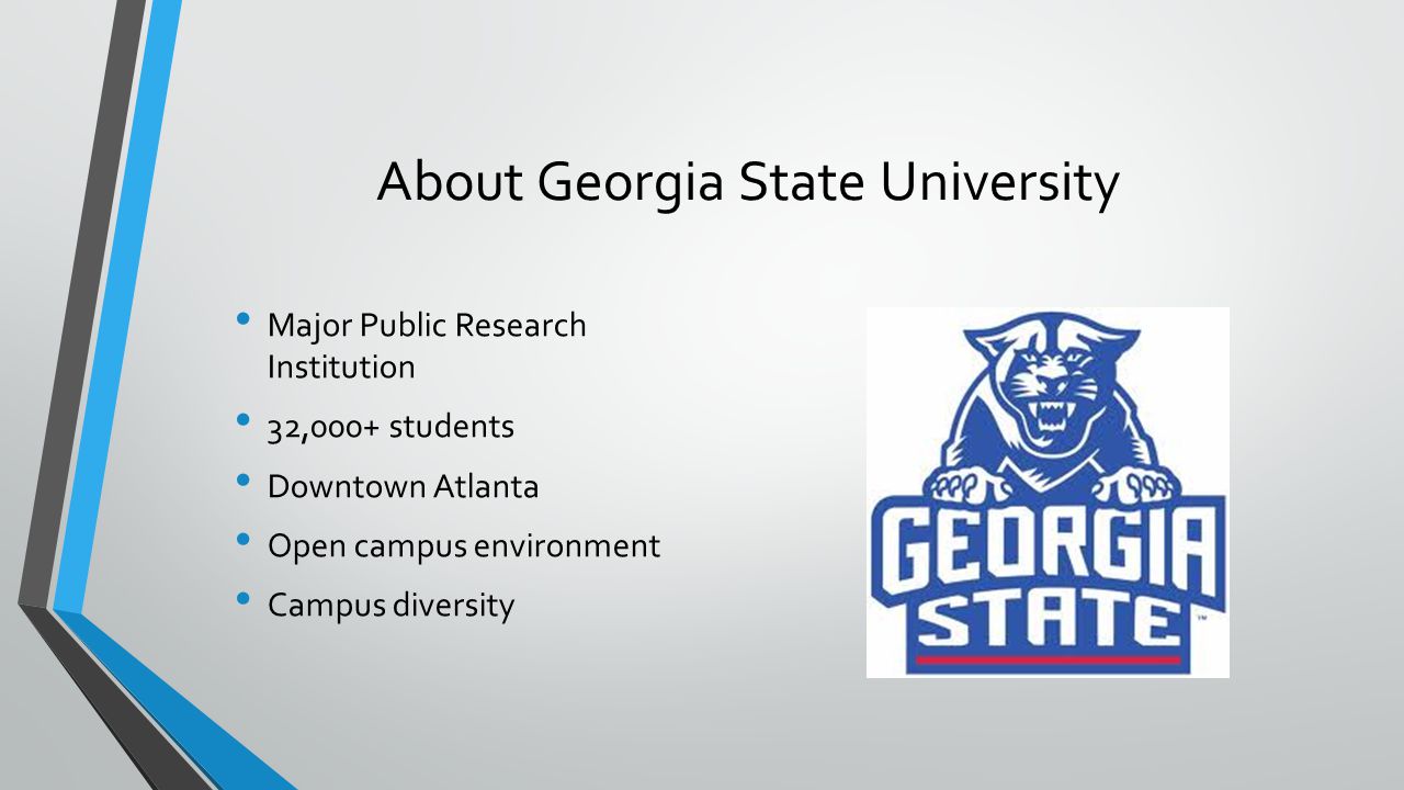 About Georgia State University
