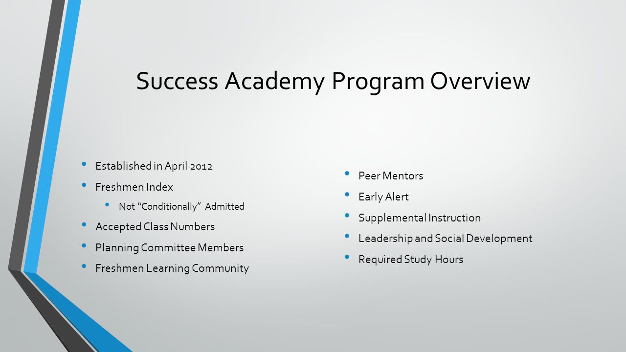 Success Academy Program Overview