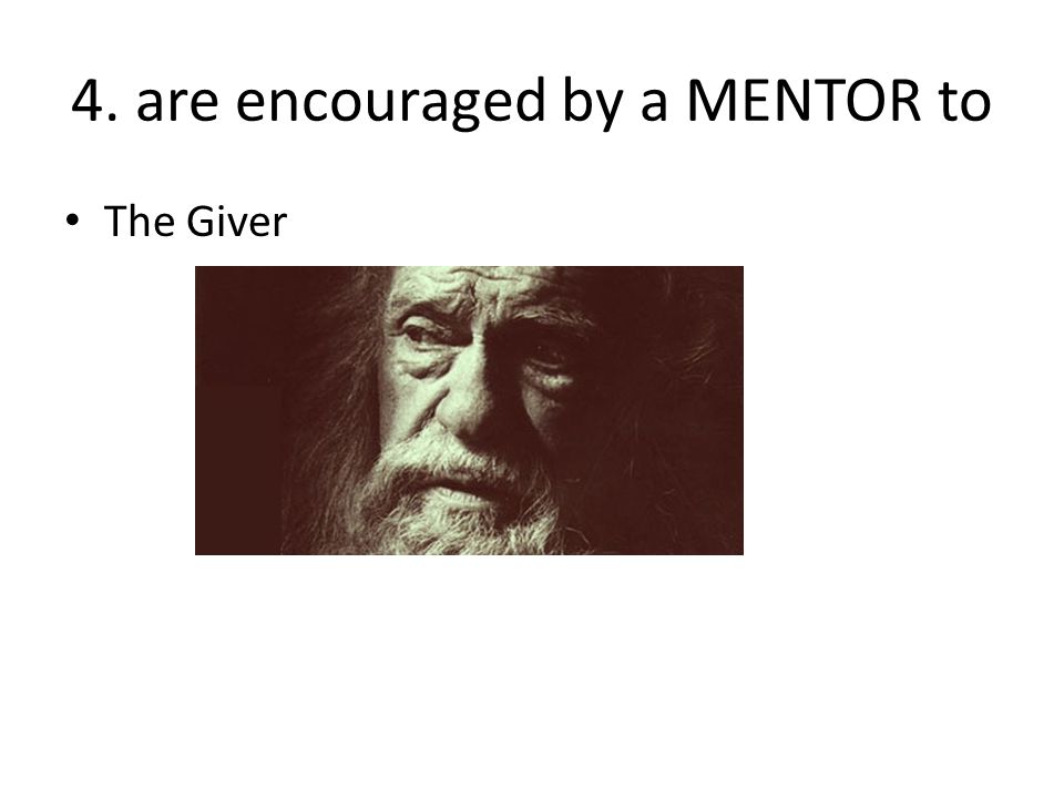 4. are encouraged by a MENTOR to