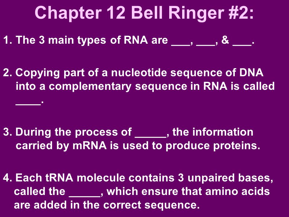 Chapter 12 Bell Ringer #2: The 3 main types of RNA are ___, ___, & ___.