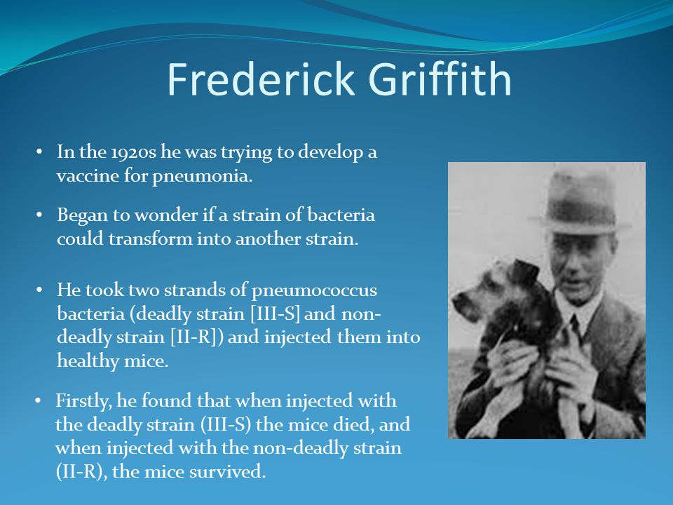 what did frederick griffith discover