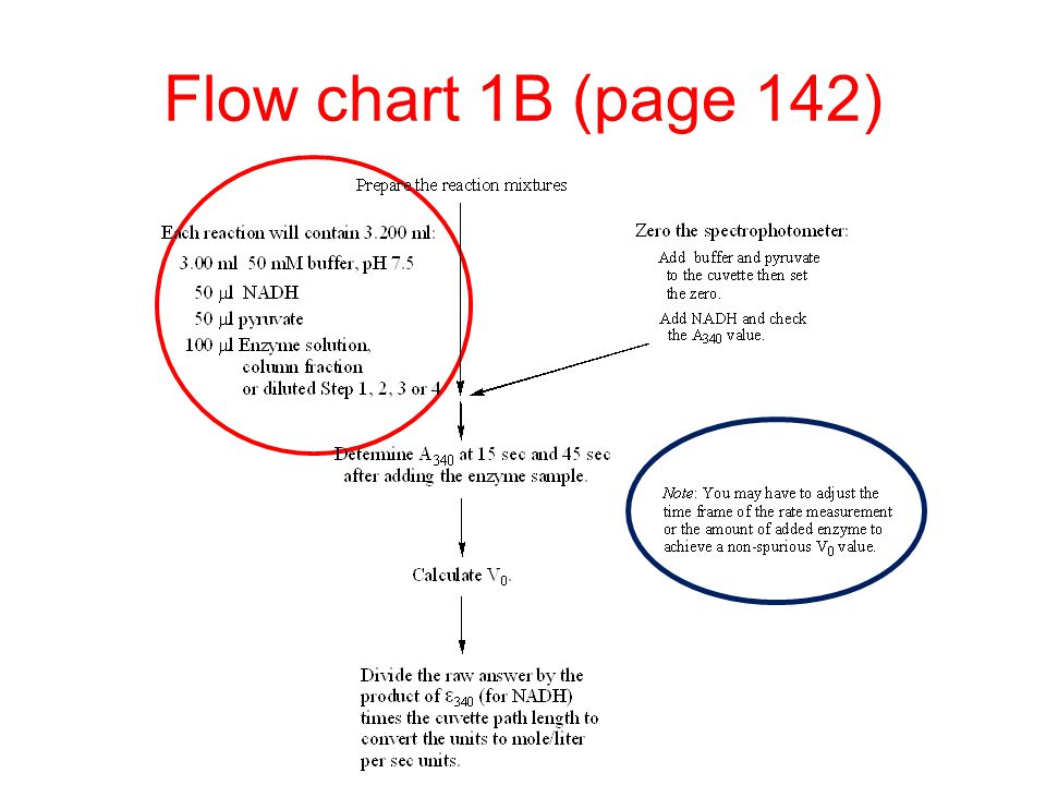 Enzyme Purification Chart