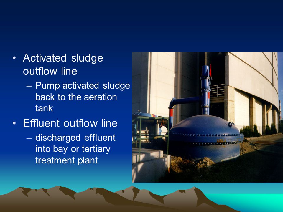 Activated sludge outflow line