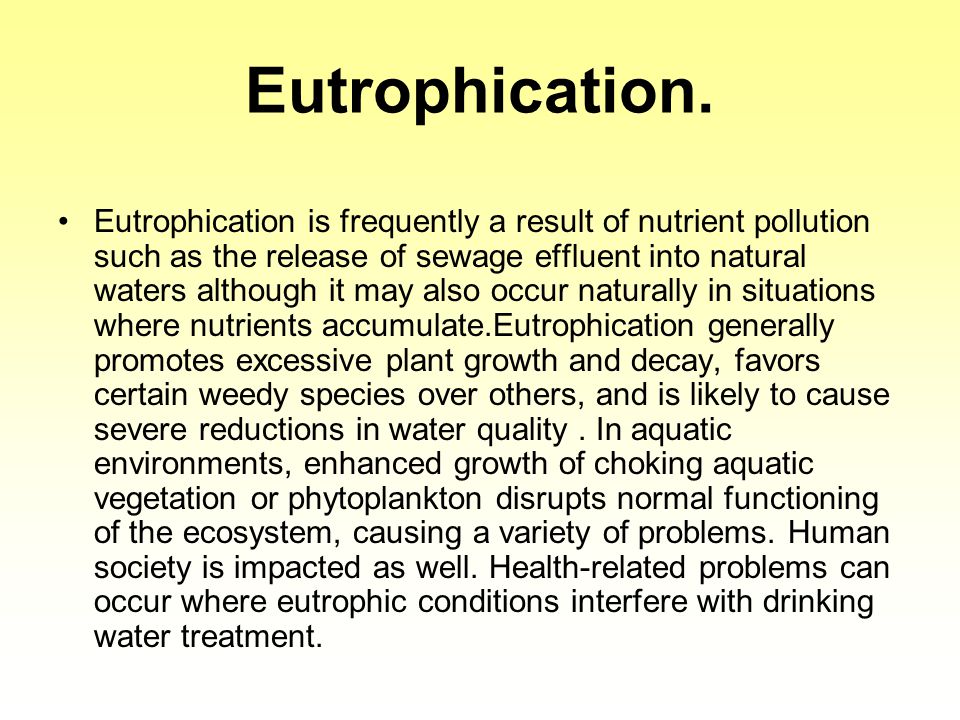 Eutrophication.