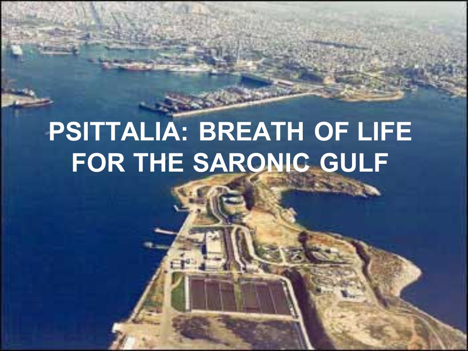 PSITTALIA: BREATH OF LIFE FOR THE SARONIC GULF