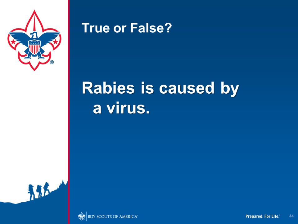 Rabies is caused by a virus.