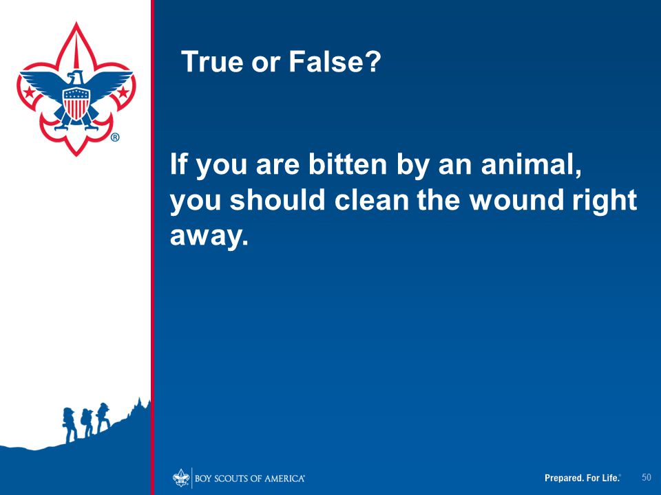 True or False If you are bitten by an animal, you should clean the wound right away.