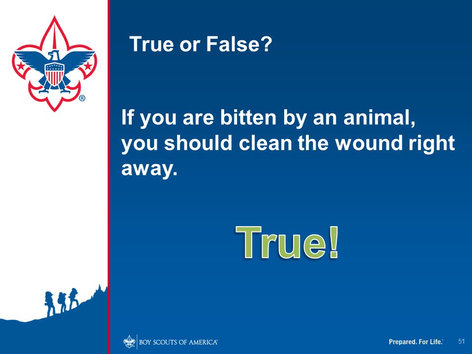 True or False If you are bitten by an animal, you should clean the wound right away. True!