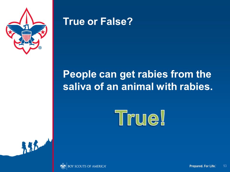 True or False People can get rabies from the saliva of an animal with rabies. True!