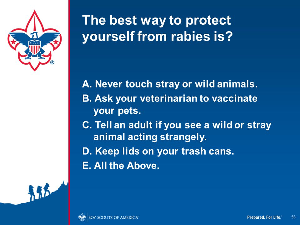 The best way to protect yourself from rabies is