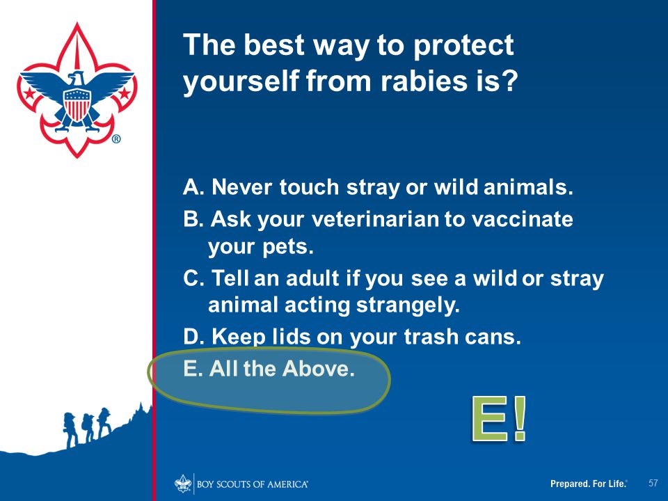 The best way to protect yourself from rabies is