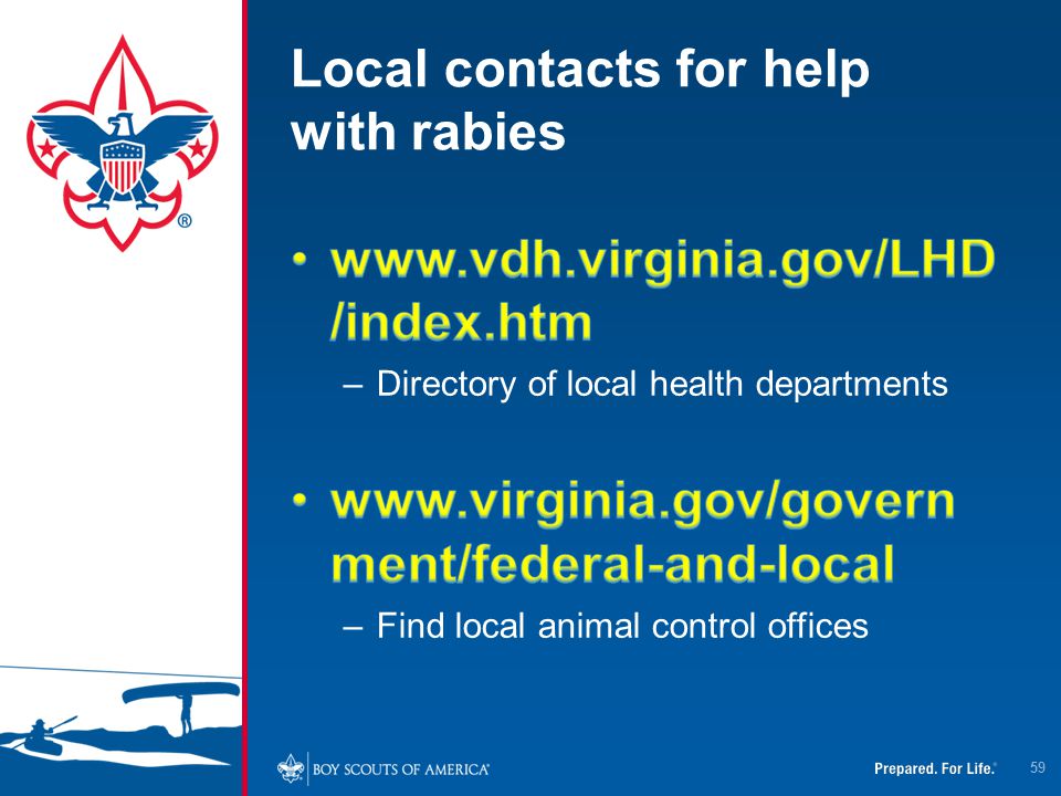 Local contacts for help with rabies