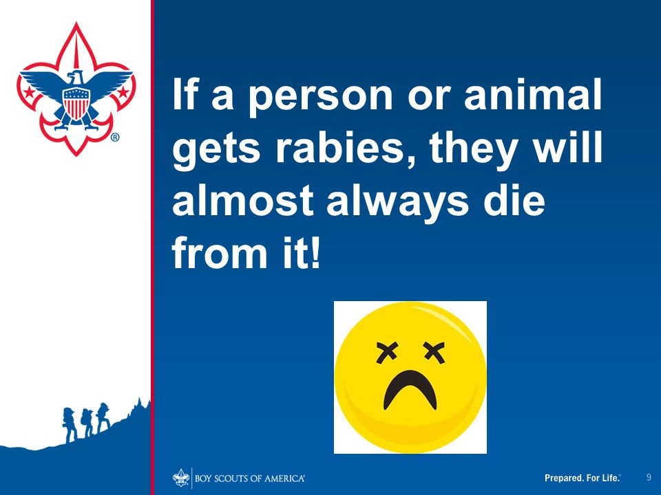 4/12/2017 If a person or animal gets rabies, they will almost always die from it!