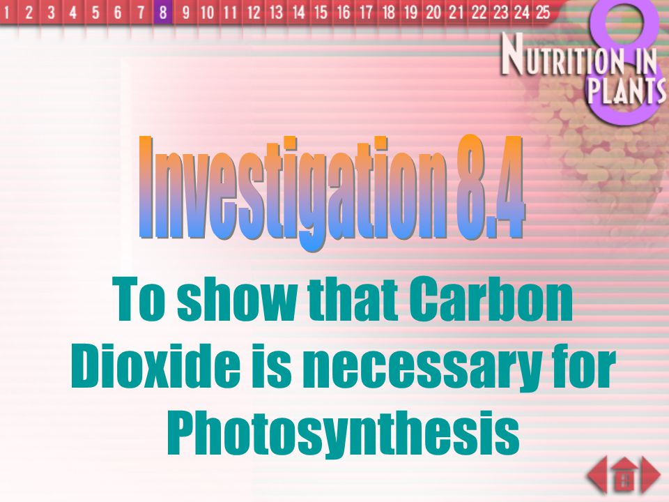 To show that Carbon Dioxide is necessary for Photosynthesis