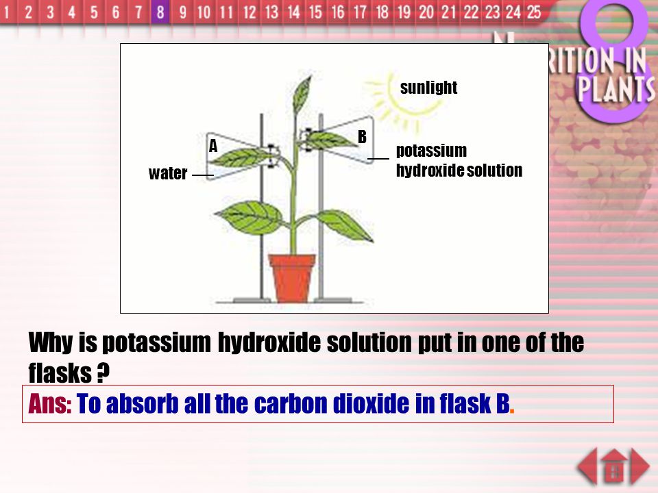 Why is potassium hydroxide solution put in one of the flasks
