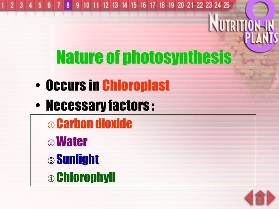 Nature of photosynthesis