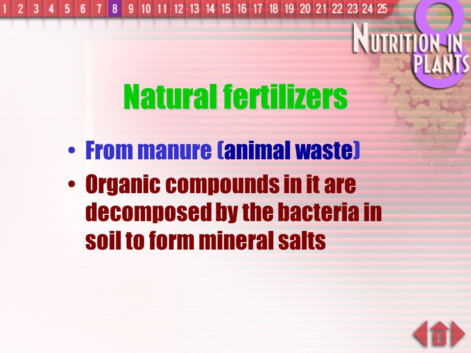 Natural fertilizers From manure (animal waste)