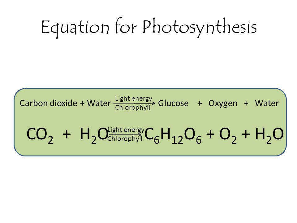 Equation for Photosynthesis