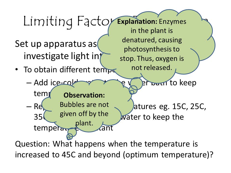 Limiting Factors - Temperature