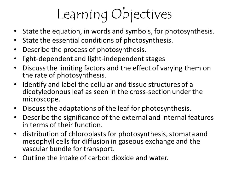Learning Objectives State the equation, in words and symbols, for photosynthesis. State the essential conditions of photosynthesis.