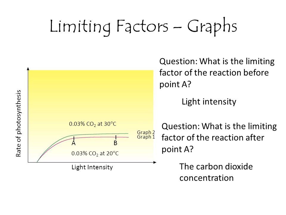 Limiting Factors – Graphs