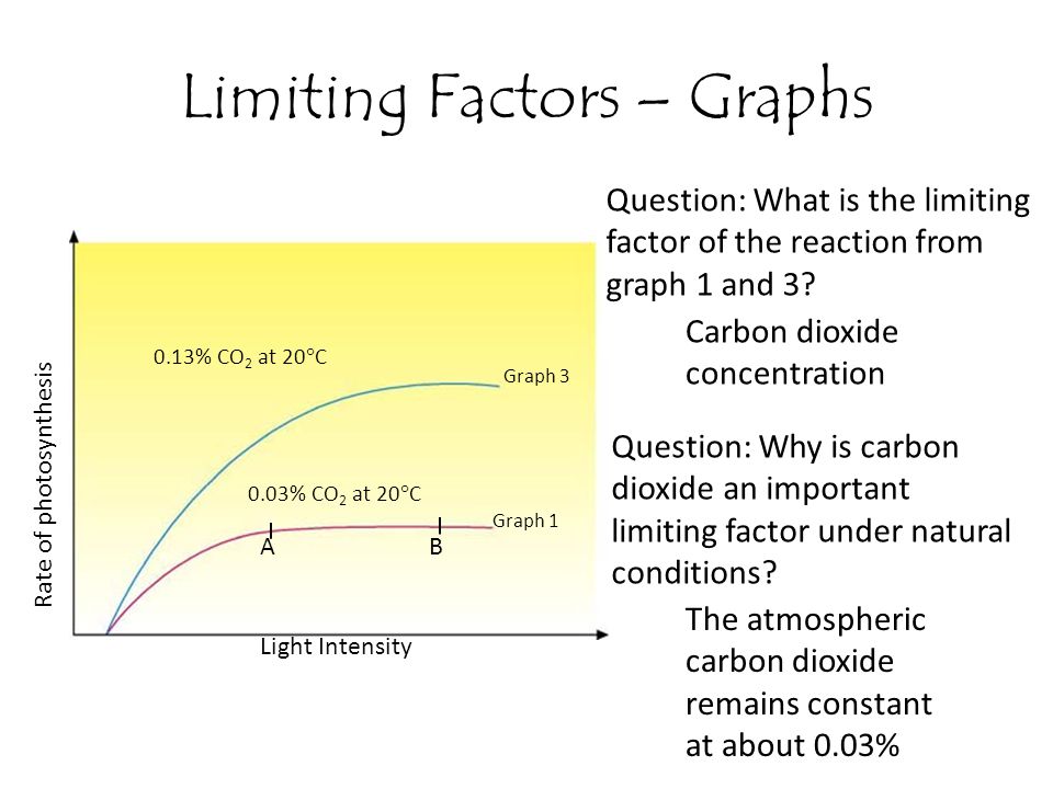 Limiting Factors – Graphs