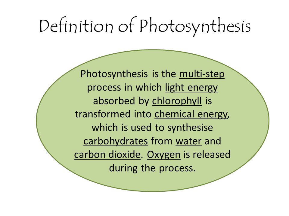 Definition of Photosynthesis
