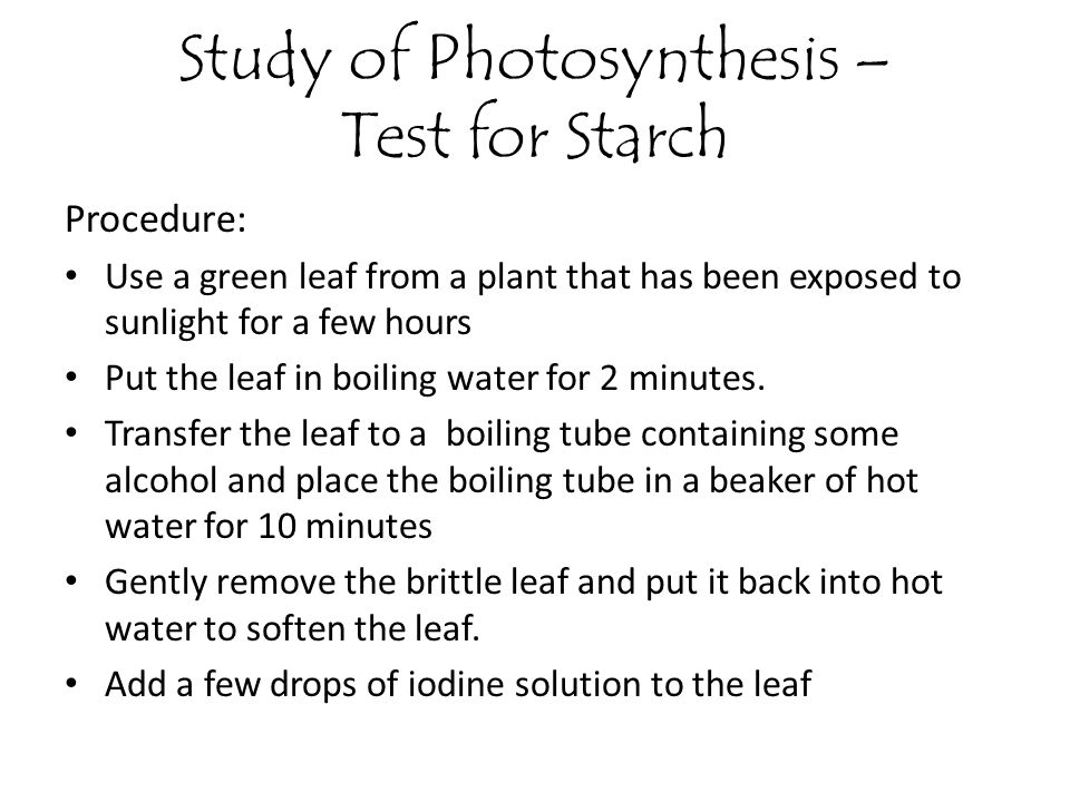 Study of Photosynthesis – Test for Starch