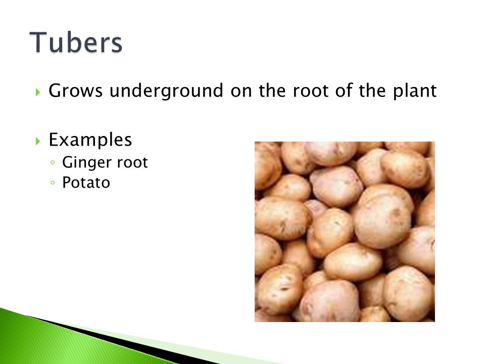 Tubers Grows underground on the root of the plant Examples Ginger root