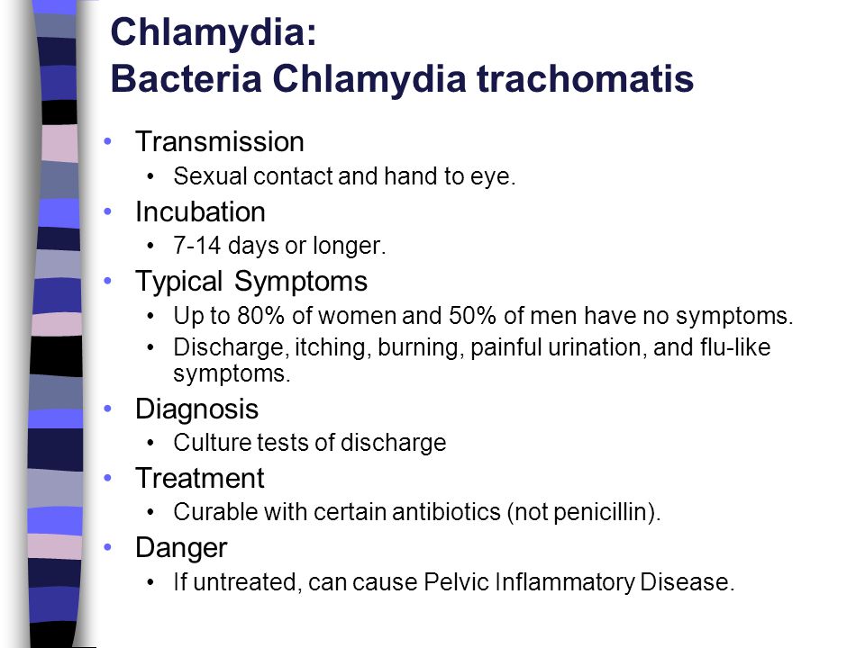 Chlamydia: Bacteria Chlamydia trachomatis