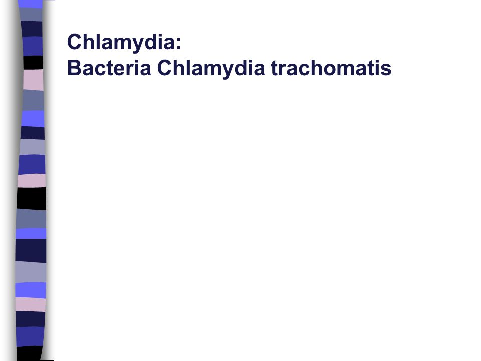 Chlamydia: Bacteria Chlamydia trachomatis