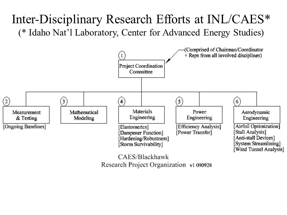 Inter-Disciplinary Research Efforts at INL/CAES*