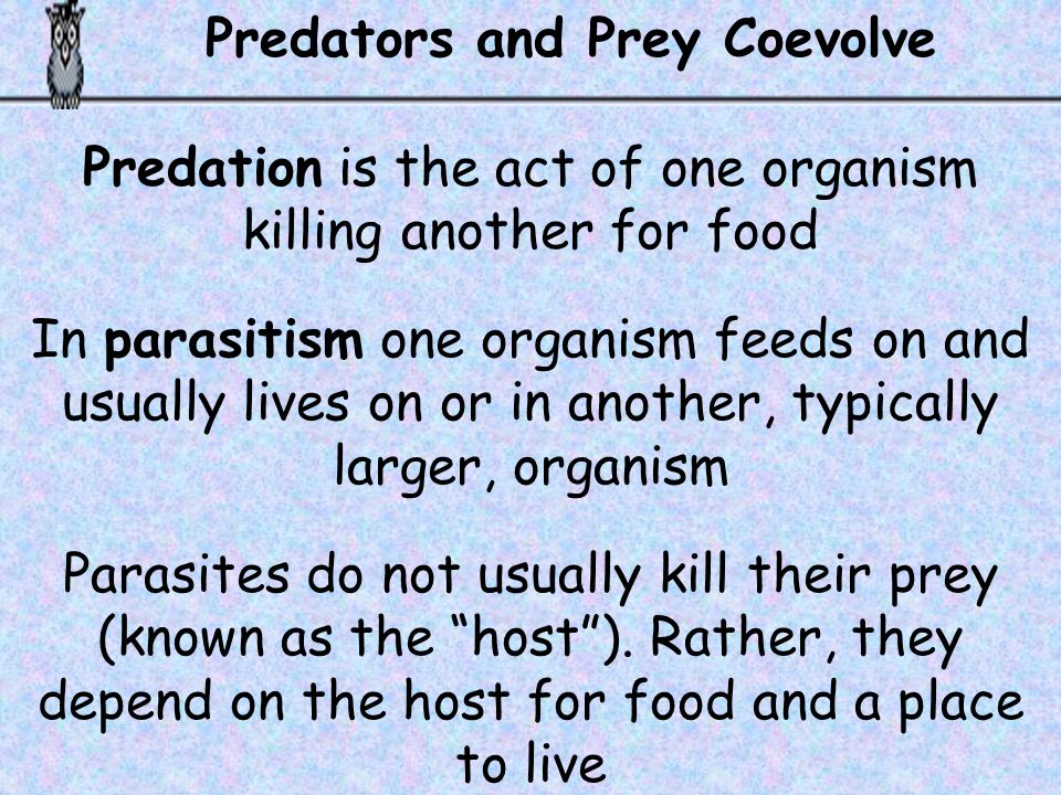 Predation is the act of one organism killing another for food