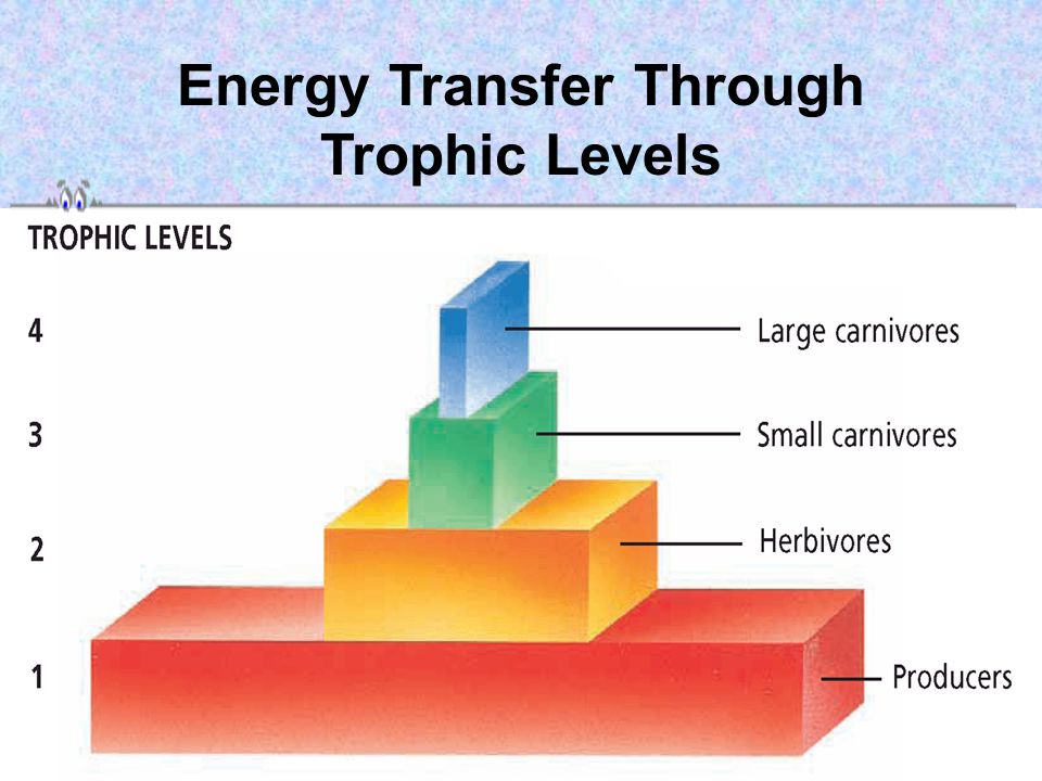 Energy Transfer Through