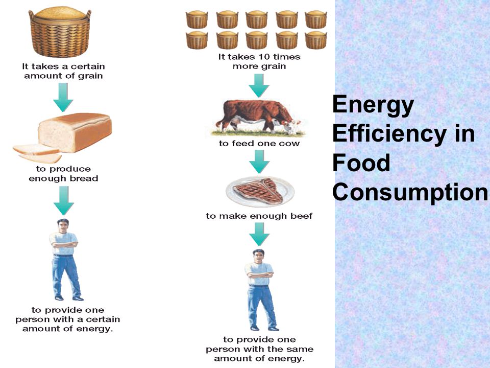 Energy Efficiency in Food Consumption